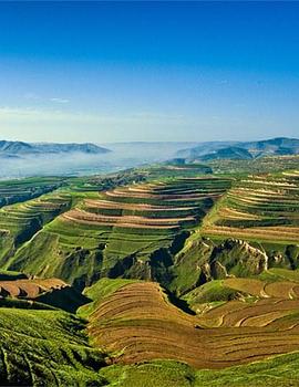 黄土大塬 第01集