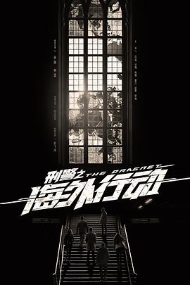 刑警之海外行动 第9集