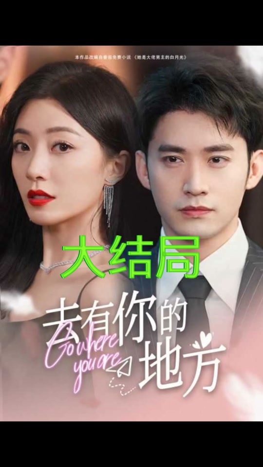 去有你的地方 61-80集(大结局)