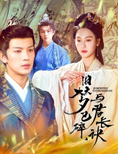 旧梦已碎，与君长诀＆终是深情错付君 全集(大结局)