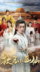 救驾小医仙 全集(大结局)